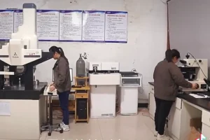 rack-end-quality-inspection-torque-play-salt-spray-test